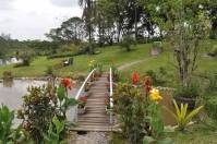 	A premiação para os três primeiros ganhadores de cada categoria do Concurso de Jardins foi feita na quarta-feira (16/11), às 18h, na Festa das Flores. O concurso teve um total 35 participantes divididos em cinco categorias. Foto: 1º Lugar Jardim Rural - Fotografo: Luana de Freitas - Data: 17/11/2011