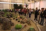 A 73ª Festa das Flores de Joinville, a mais tradicional festa joinvilense, está sendo um sucesso. Até agora, o espaço que reúne Exposição de Orquídeas, Mercado de Plantas, Feira de Artesanato, Palco Cultural e Praça Gastronômica já atraiu mais de 100 mil visitantes. - Fotografo: Mauro Artur Schlieck - Data: 15/11/2011