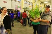 O domingo (13/11) foi movimentado na Expoville com a 73ª Festa das Flores de Joinville.  O setor de mercado de plantas também esteve cheio de clientes em busca da melhor flor. - Fotografo: Mauro Artur Schlieck - Data: 13/11/2011