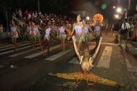 Imagens do Desfile de Blocos e Escolas de Samba de Joinville neste sábado (18/02) na Rua Rio Branco. Escola de Samba Serrinha. - Fotografo: Kátia Nascimento - Data: 19/02/2012
