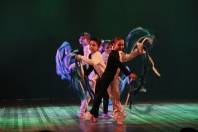 Teatro Águas de Joinville 2015 - Fotografo: Bruno Izidoro - Secom - Data: 14/09/2015