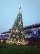 Luzes Natal Prefeitura de Joinville 2015 - Fotografo: Diego Rosa / Secom - Data: 11/12/2015