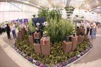 Festa das Flores de Joinville ganha prêmio da ADVB - Fotografo: Fundação Turística/Divulgação - Data: 03/10/2014