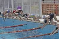 PID = Natação reinicia atividades na Sociedade Ginástica de Joinville. - Fotografo: Phelippe José - Data: 03/03/2015