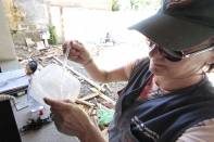 Secretaria da Saúde pede que moradores redobrem os cuidados para evitar o mosquito da dengue. Joinville confirma dois casos locais da doença - Fotografo: Arquivo Secom/Phelippe José - Data: 04/02/2015