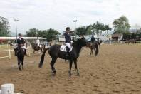 Campeonato de Hipismo em Joinville   - Data: 03/07/2014