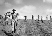 Mostra fotográfica de Sebastião Salgado na Semana da Consciência Negra de Joinville - Fotografo: Sebastião Salgado - Data: 28/10/2015