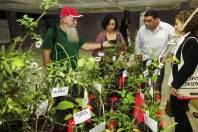 O Encontro Municipal de Plantas Medicinais e Fitoterápicos de Joinville teve sua abertura na manhã de hoje (30/09), no Teatro Juarez Machado, com exposição de plantas medicinais - Fotografo: Kátia Nascimento - Data: 30/09/2011