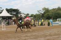 Campeonato de Hipismo em Joinville - Fotografo: Secom/Divulgação - Data: 03/07/2014