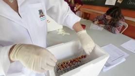 Saúde e Fundação 25 de Julho iniciam nova etapa de orientação sobre uso de agrotóxicos - Fotografo: Rogerio da Silva - Data: 10/08/2015