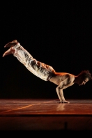 Noite dos Campeões do 30º Festival de Dança de Joinville leva os melhores ao palco do Centreventos Cau Hansen. - Fotografo: Mauro Artur Schlieck - Data: 29/07/2012