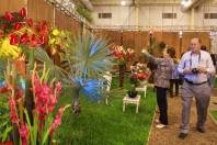 O domingo (13/11) foi movimentado na Expoville com a 73ª Festa das Flores de Joinville. Outras variedades de flores e plantas também tiveram seu espaço garantido - Fotografo: Mauro Artur Schlieck - Data: 13/11/2011