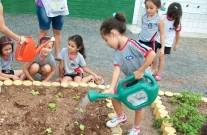 Minicamping Agroecológico do CEI Raio de Sol é finalista de um concurso nacional, “Aprender e Ensinar Tecnologias Sociais na Educação” - Fotografo: Divulgação - Data: 15/02/2013