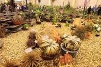 A 73ª Festa das Flores de Joinville, a mais tradicional festa joinvilense, está sendo um sucesso. Até agora, o espaço que reúne Exposição de Orquídeas, Mercado de Plantas, Feira de Artesanato, Palco Cultural e Praça Gastronômica já atraiu mais de 100 mil visitantes. - Fotografo: Mauro Artur Schlieck - Data: 15/11/2011