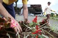 Ittran reliza manutenção dos canteiros de flores na rodoviária de Joinville - Fotografo: Rogerio da Silva - Data: 09/10/2013