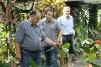 Equipe da  Fundação Turística de Joinville visitou a Chácara Holz com o objetivo de alinhar ações para o Festival do Anthurium e do Mangarito, que acontece no mês de maio, na região da Estrada da Ilha.  - Fotografo: Divulgação - Data: 28/01/2013
