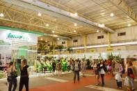 78a Festa das Flores de Joinville comercializa estandes para a Feira de Agroflores - Fotografo: Secom / Arte - Data: 25/02/2016