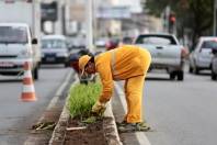 Plantio de flores na Av. Beira Rio - Fotografo: Rogerio da Silva - Data: 16/07/2014