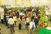 O domingo (13/11) foi movimentado na Expoville com a 73ª Festa das Flores de Joinville.  O setor de mercado de plantas também esteve cheio de clientes em busca da melhor flor. - Fotografo: Mauro Artur Schlieck - Data: 13/11/2011