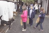 Alunos Escola Abdon Batista visitam abrigo animal no bairro Vila Nova. - Fotografo: Phelippe José - Data: 17/06/2015