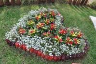 	A premiação para os três primeiros ganhadores de cada categoria do Concurso de Jardins foi feita na quarta-feira (16/11), às 18h, na Festa das Flores. O concurso teve um total 35 participantes divididos em cinco categorias. Foto: 1º Lugar Jardim Escolar - Fotografo: Luana de Freitas - Data: 17/11/2011