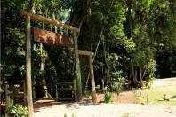 Águas de Joinville recebe selo verde do Ministério do Meio Ambiente. Implantação da Trilha das Águas na ETA do rio Cubatão contribuiu para a concessão do selo - Fotografo: Divulgação CAJ - Data: 17/10/2014