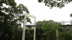 Foto com imagem da janela de contemplação do mirante. A janela é uma estrutura de concreto, que forma uma moldura por onde passa por ela uma trilha aérea. No final desse caminho é possível visualizar a cidade de Joinville. - Fotografo: Rogerio da Silva - Data: 29/03/2016