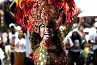 Carnaval 2014: uma festa com a cara de Joinville - Fotografo: divulgação/secom - Data: 24/01/2014