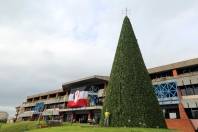 Árvore de natal na Prefeitura de Joinville - Fotografo: Rogerio da Silva - Data: 26/11/2014