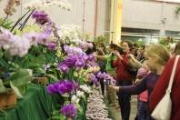 O domingo (13/11) foi movimentado na Expoville com a 73ª Festa das Flores de Joinville. A  câmera fotográfica importante para levar uma recordação para casa. - Fotografo: Mauro Artur Schlieck - Data: 13/11/2011